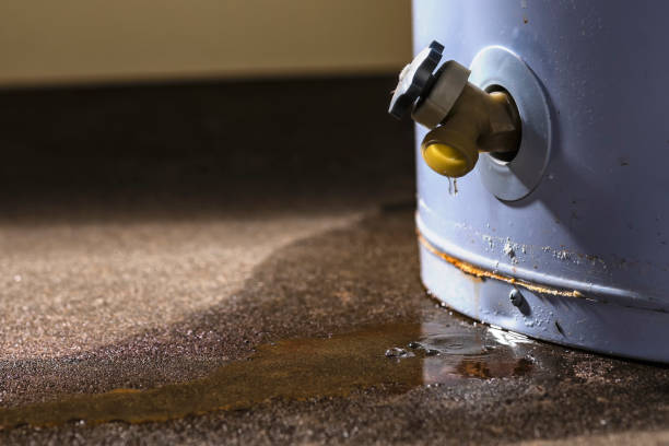  Portsmouth, VA Water damage restoration Pros