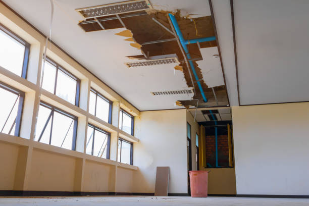 Best 24/7 water damage repair  in Portsmouth, VA