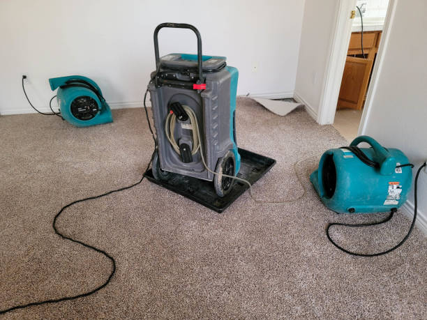 Best Local water damage restoration  in Portsmouth, VA