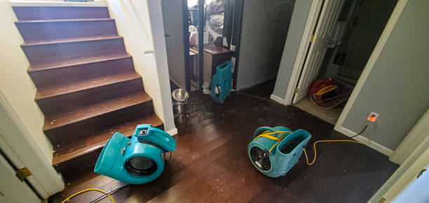 Best Residential water damage restoration  in Portsmouth, VA