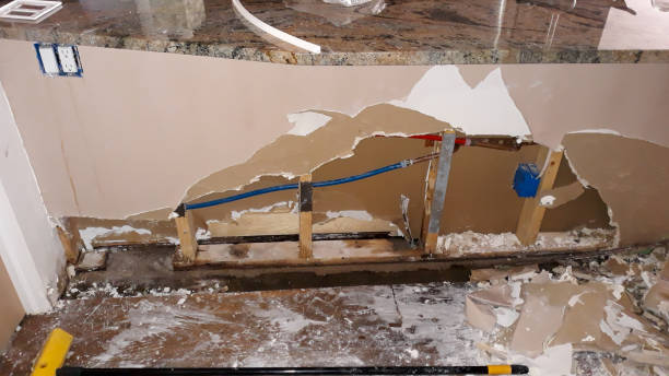 Best Basement water damage restoration  in Portsmouth, VA