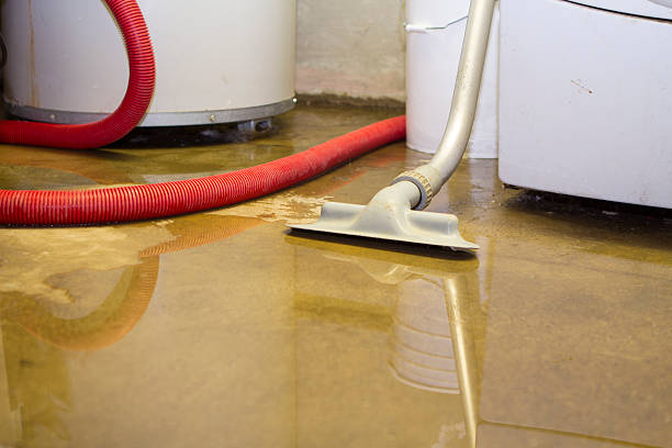 Best Flood restoration services  in Portsmouth, VA